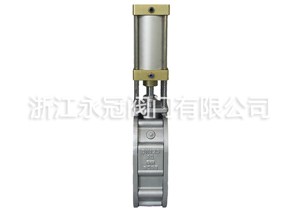 不銹鋼陶瓷雙閘板閥 不銹鋼陶瓷雙閘板閥